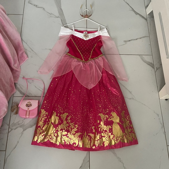 Aurora costume/tiara/disney princess purse